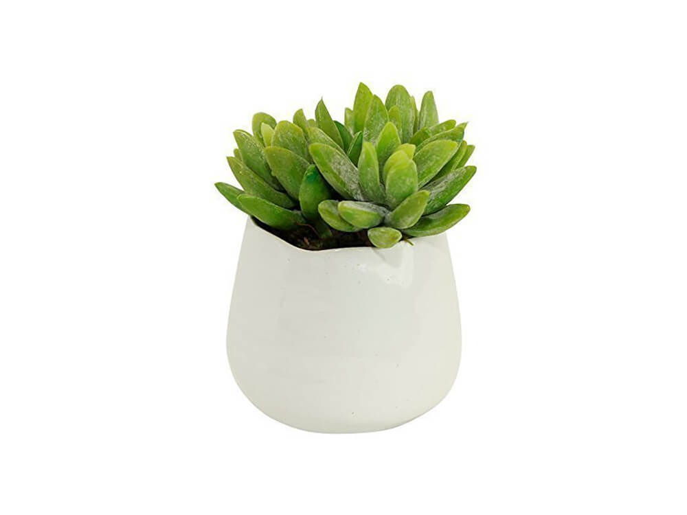 Eden's Vase 1