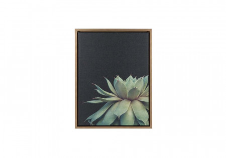 Anae Succulent Wall Art 1