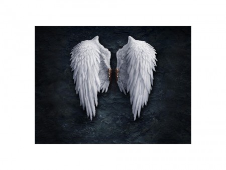 Angel wings art 1