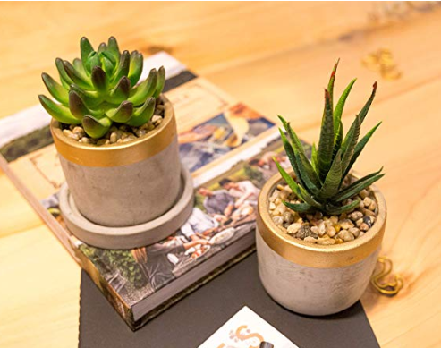 Golden Succulent Pot 1