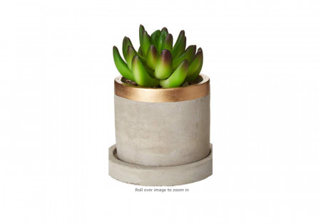 Golden Succulent Pot