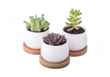 Triple Pot Planter (Plant not included).jpg