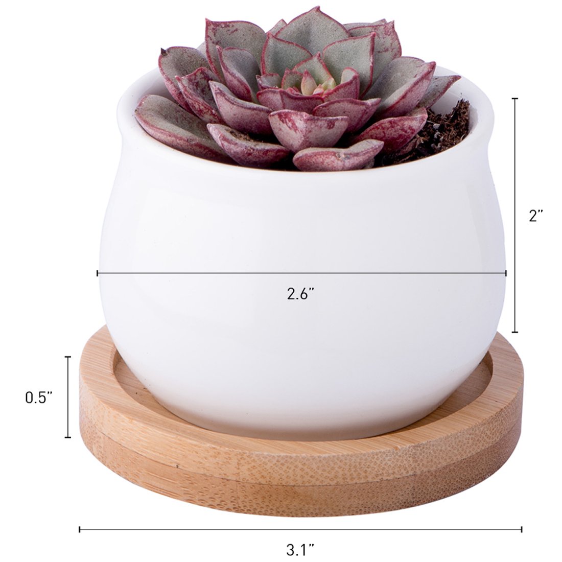 Triple Pot Planter (Plant not included) 2