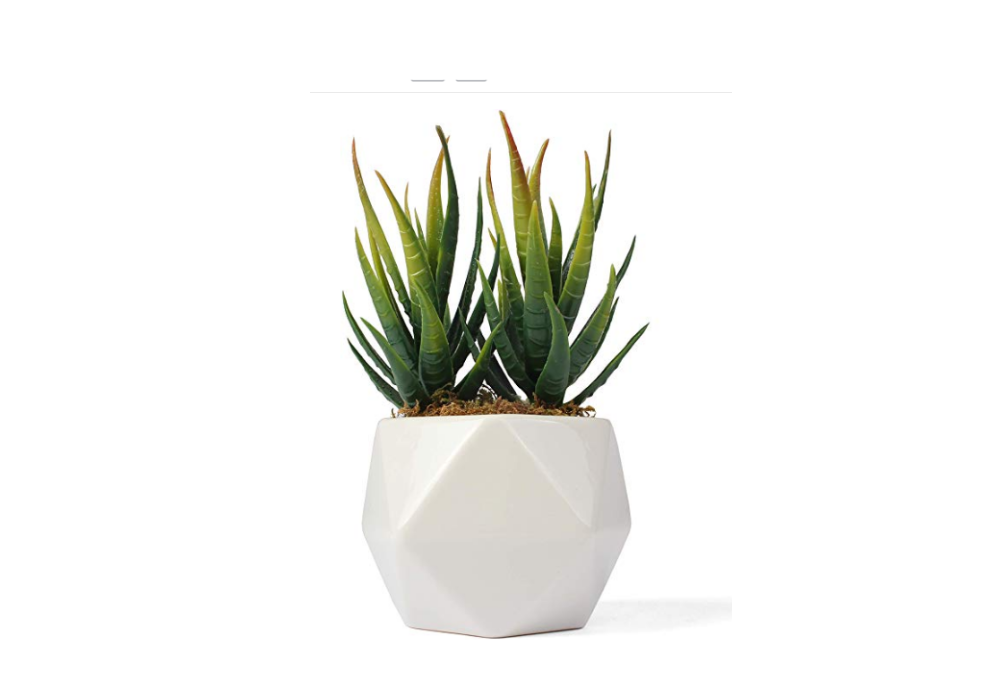 Jefferson Planter 1