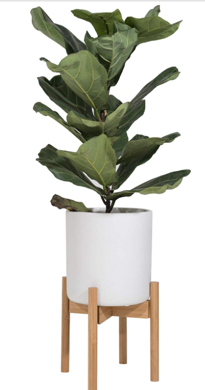 Harrigan Plant 1
