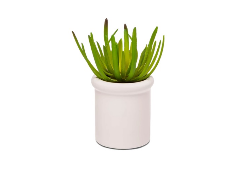 Eustace Planter 1